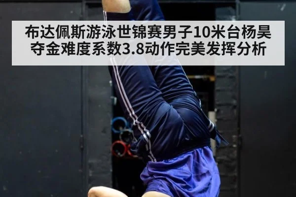 布达佩斯游泳世锦赛男子10米台杨昊夺金难度系数3.8动作完美发挥分析