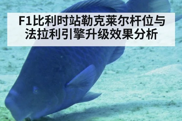 F1比利时站勒克莱尔杆位与法拉利引擎升级效果分析